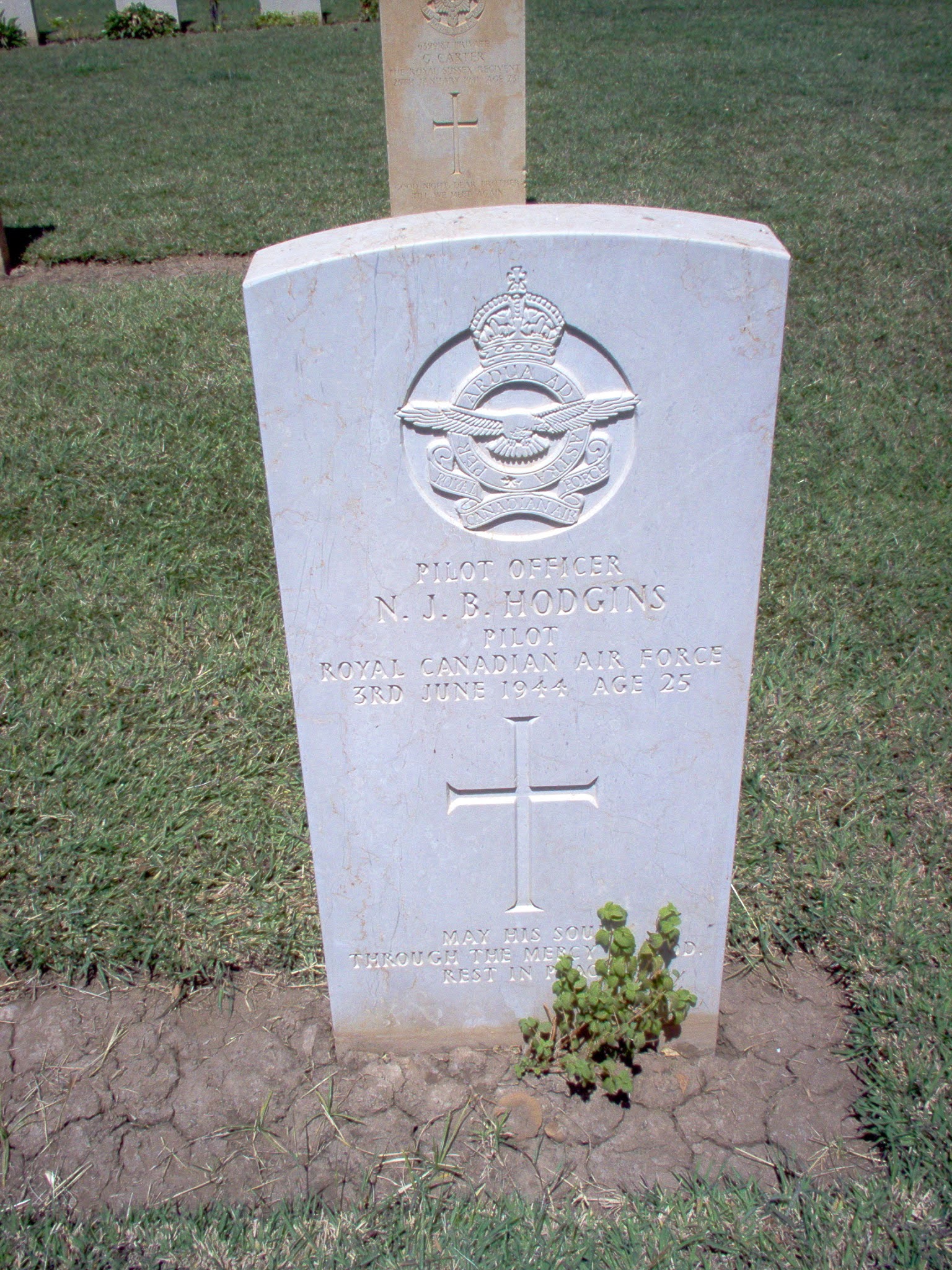 Photo of Norman Joseph Hodgins