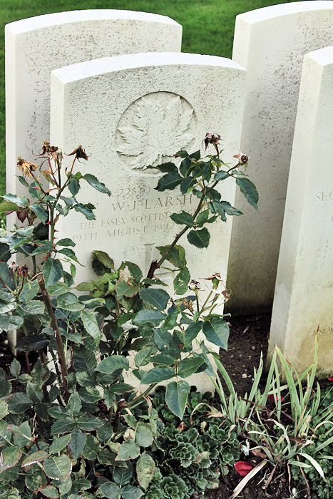 Grave Marker