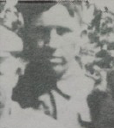 Photo of WILLIAM JAMES MUIRHEAD