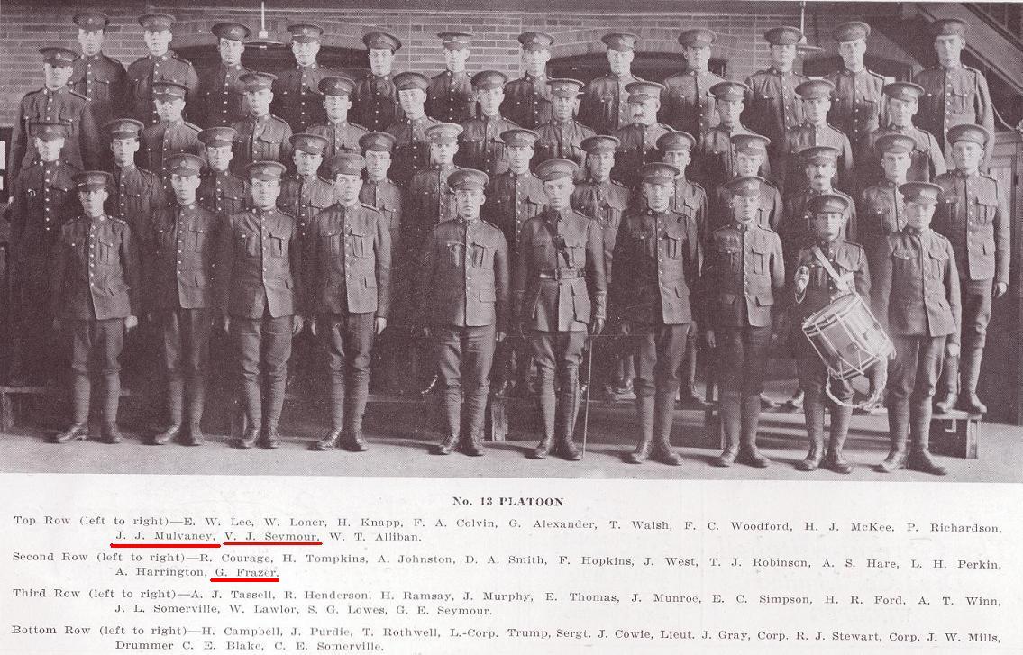 13th Platoon, D Company, 101st Battalion