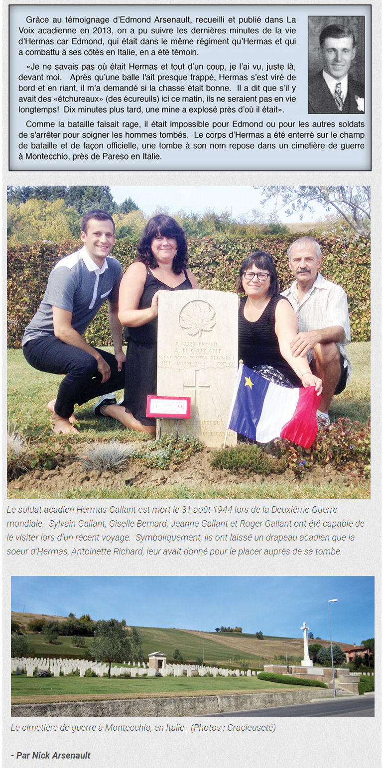 Newspaper Clipping (Page 4)