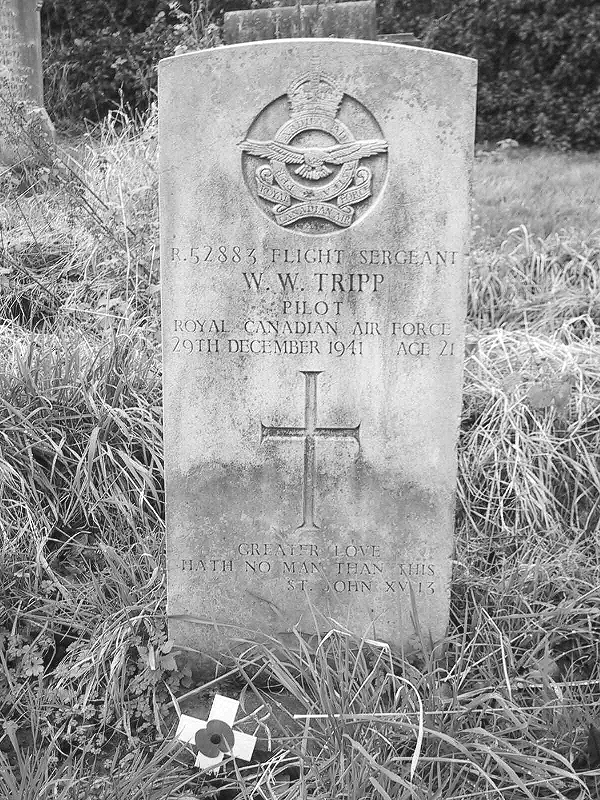 Grave Marker of W. W. Tripp