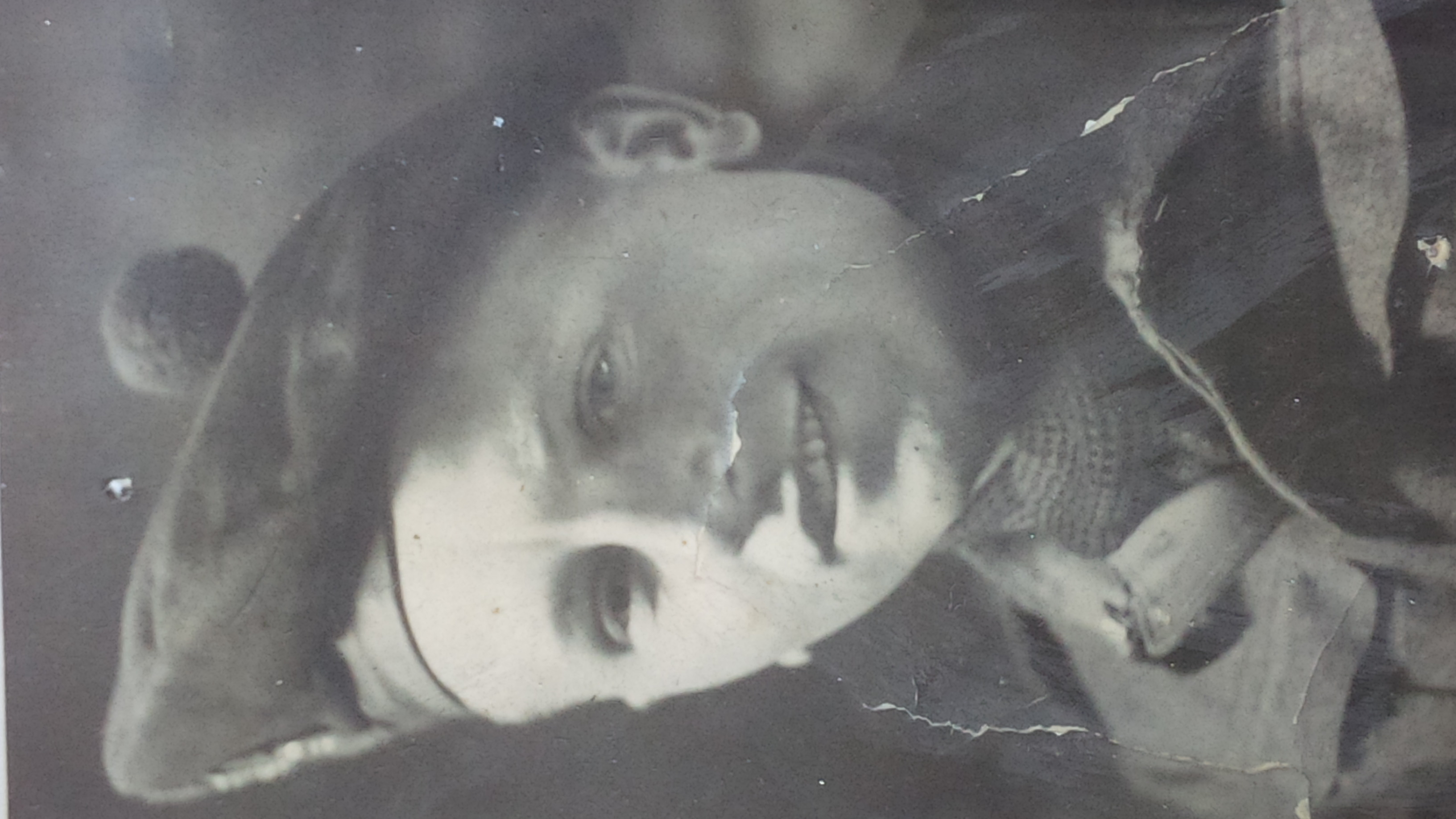 Photo of Edward Flynn