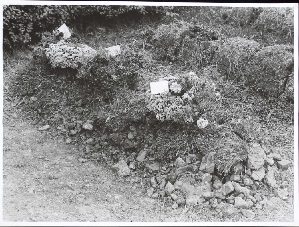 Temporary grave marker