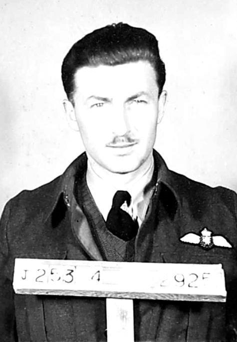 Photo of WALTER DAVID HARRISON