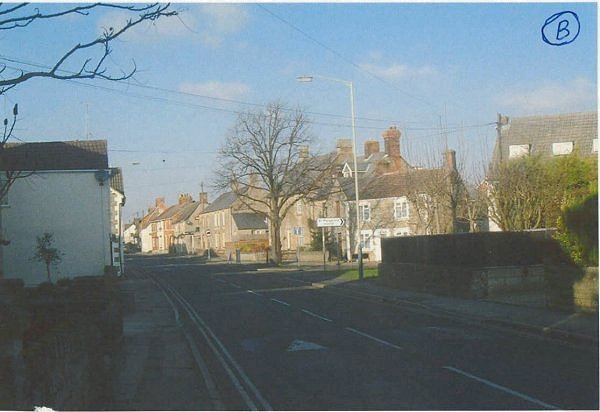 Photo 2 of Willow tree