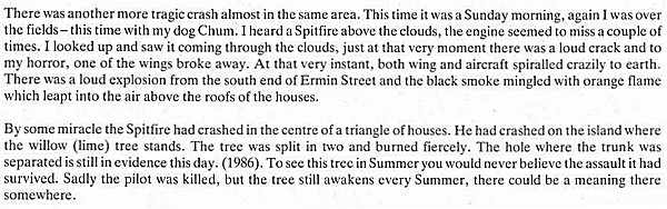 Description of plane crash