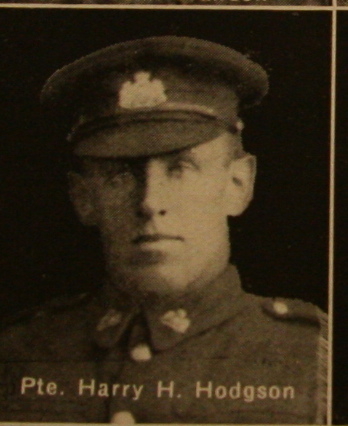 Photo of Harry Hicks Hodgson