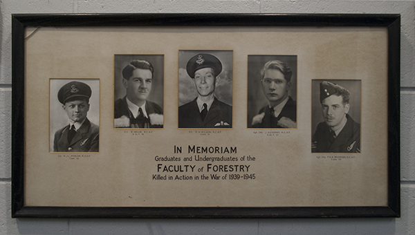 Forestry WWII Photo Display