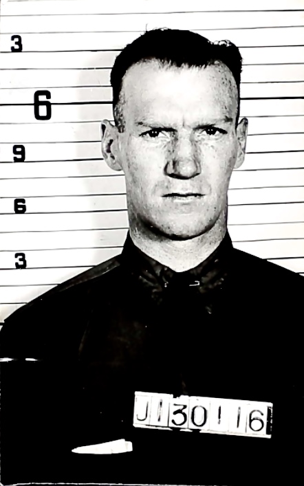 Photo of DONALD STUART MACLENNAN