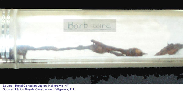 Picture of barb wire