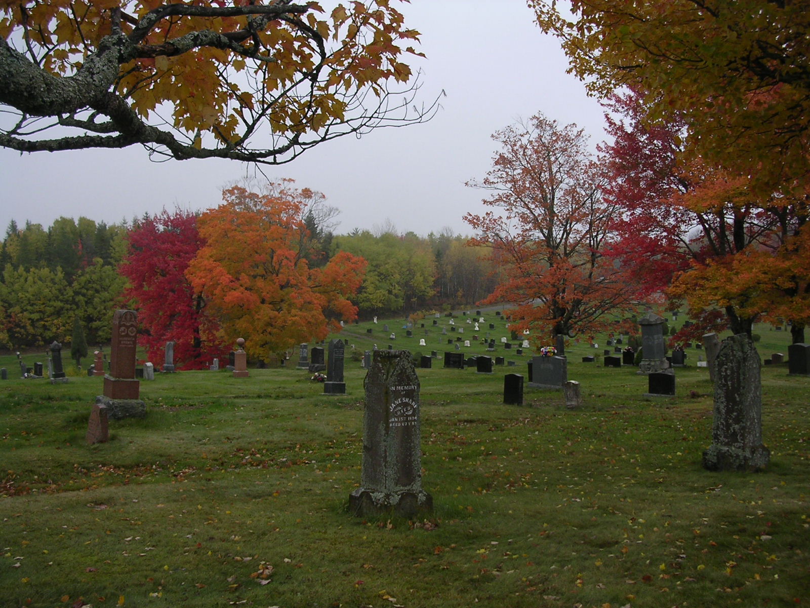 Cemetery