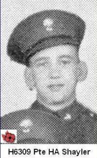 Photo of HARRY SHAYLER