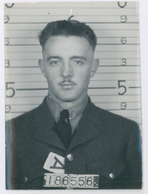 Photo of Ronald Zimmer