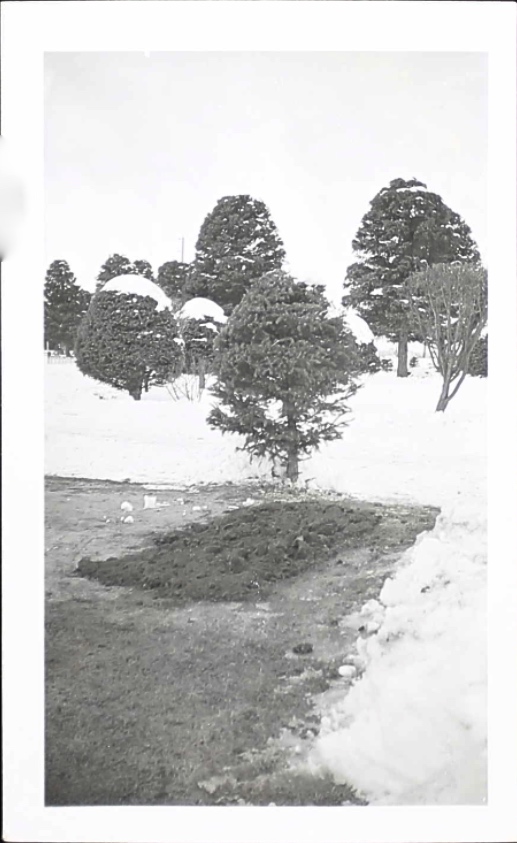 Photo of ERNEST CHARLES CHAMBERLAIN