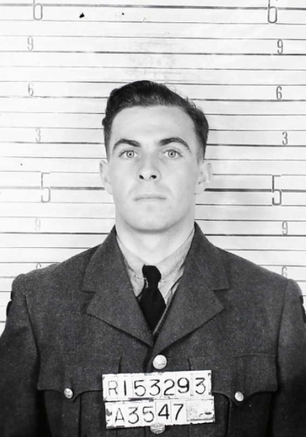 Photo of ALLISON STEWART WOOLAVER