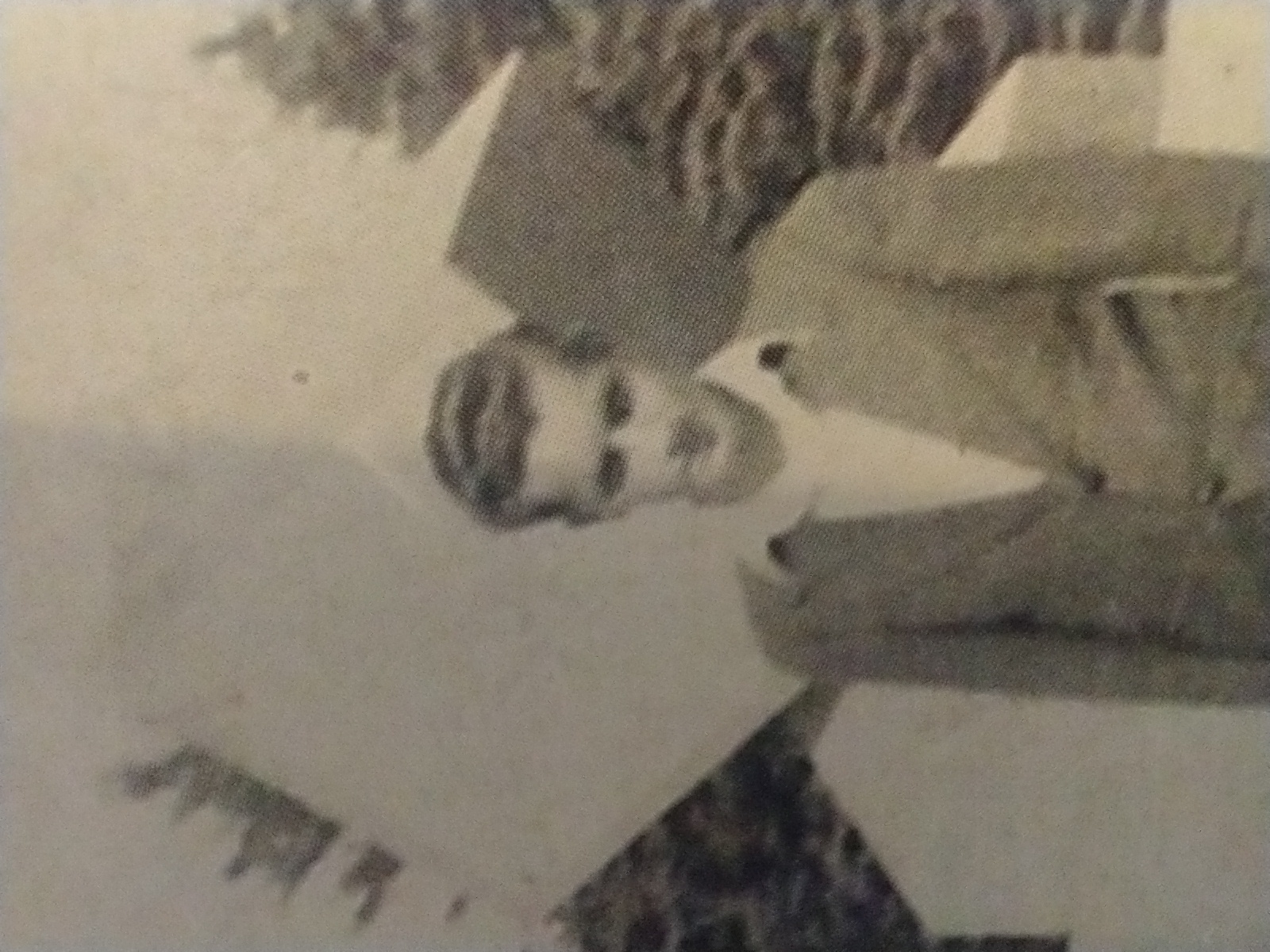 Photo of Russell Lee Bonnell
