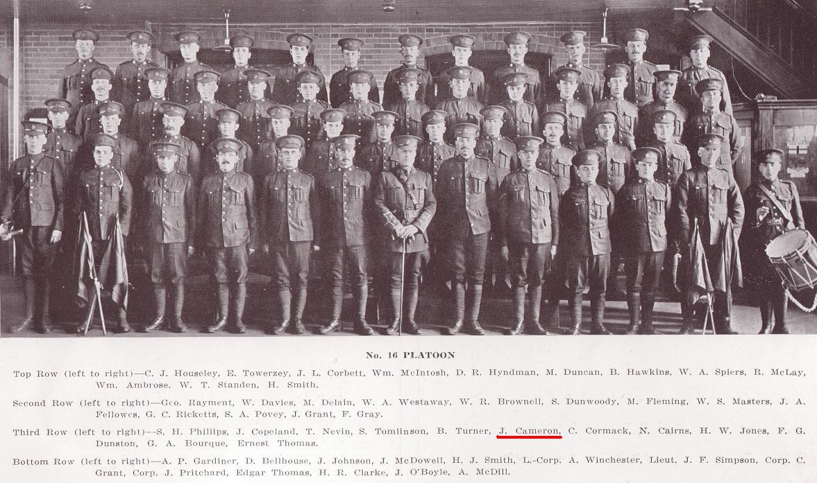 16th Platoon, D Company, 101st Battalion