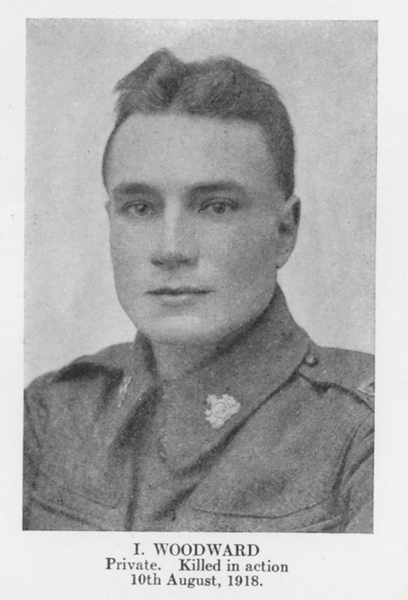 Photo of INSEL WOODWARD