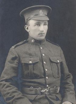 Photo of Sergeant Harry James Proven, 1st CMR CEF