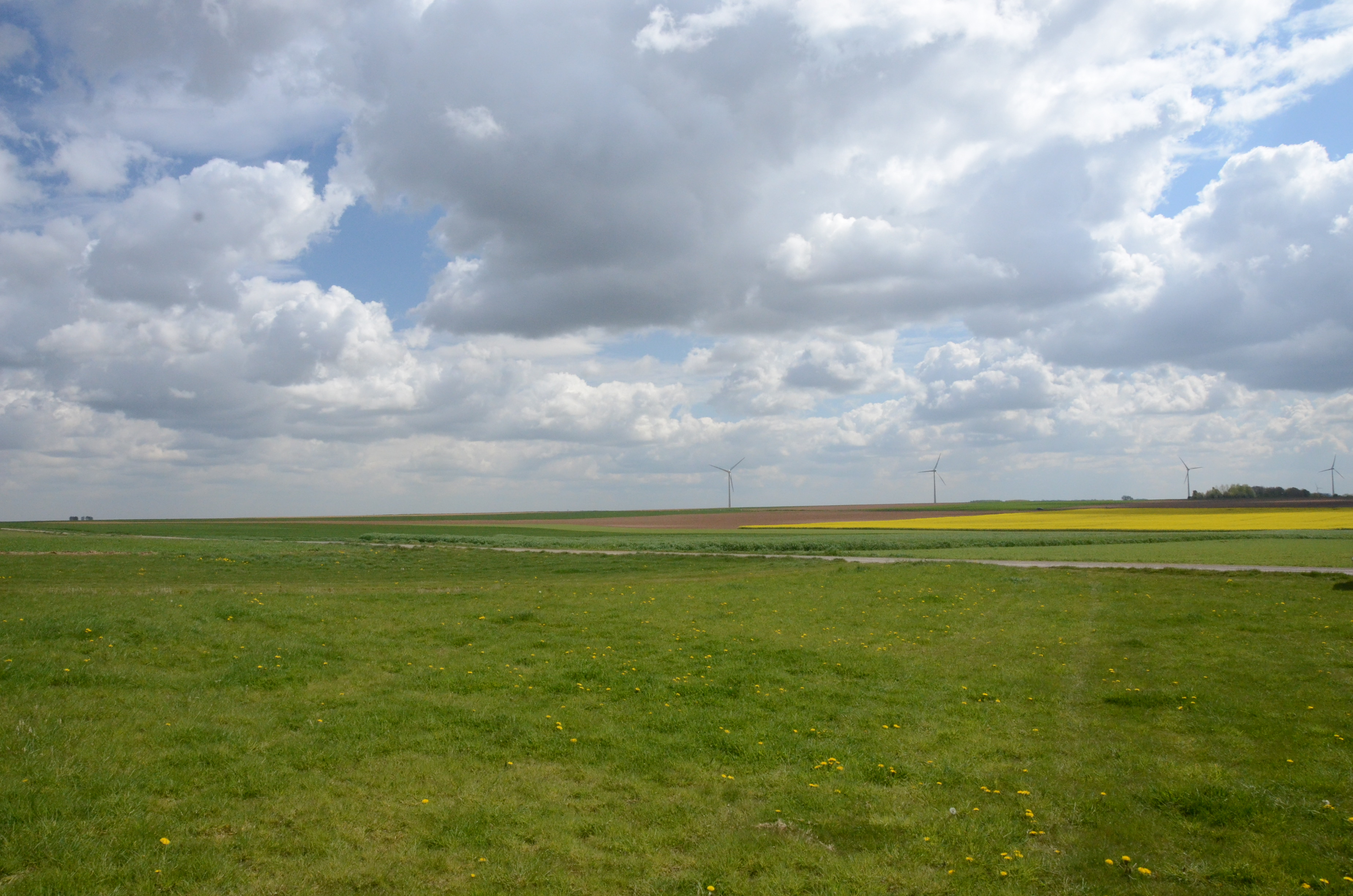 Countryside view from Upton Wood Cemetery, taken by Roger Shier, April 16, 2017.