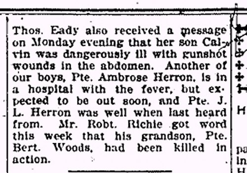 Newspaper Clipping (2)