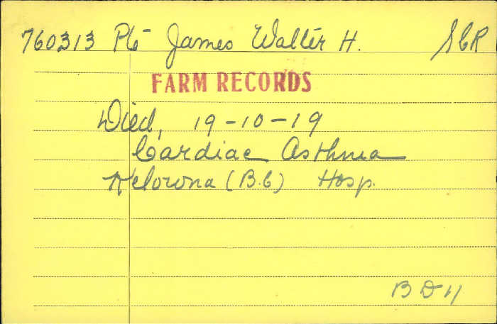 Circumstances of death