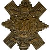 Cap badge