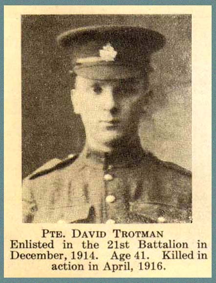 Photo of David Trotman