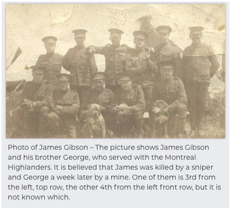 Photo of GEORGE GIBSON