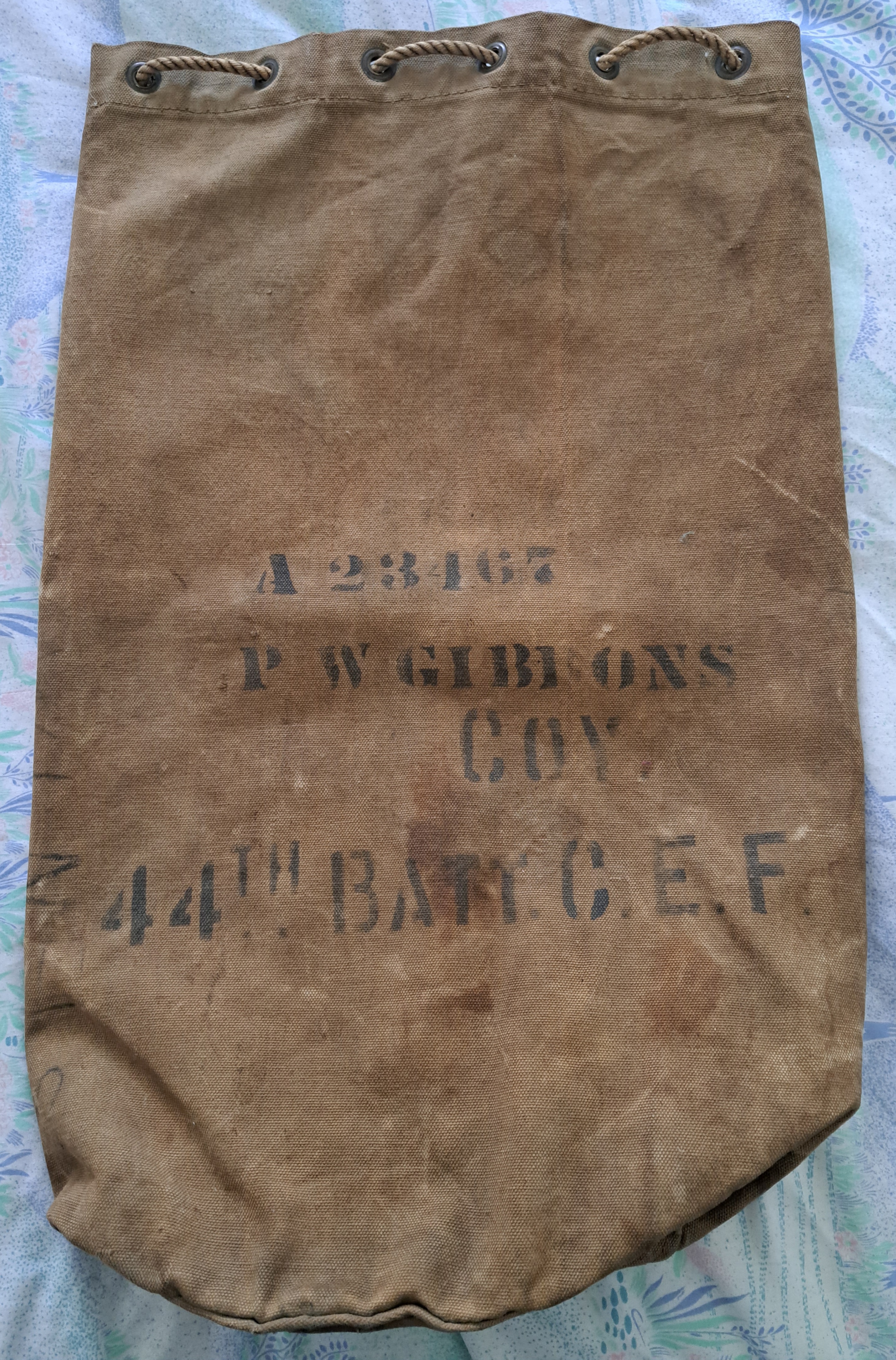 Photo of Percy Williams Gibbons