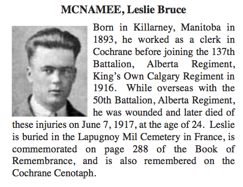 Photo de LESLIE BRUCE MCNAMEE