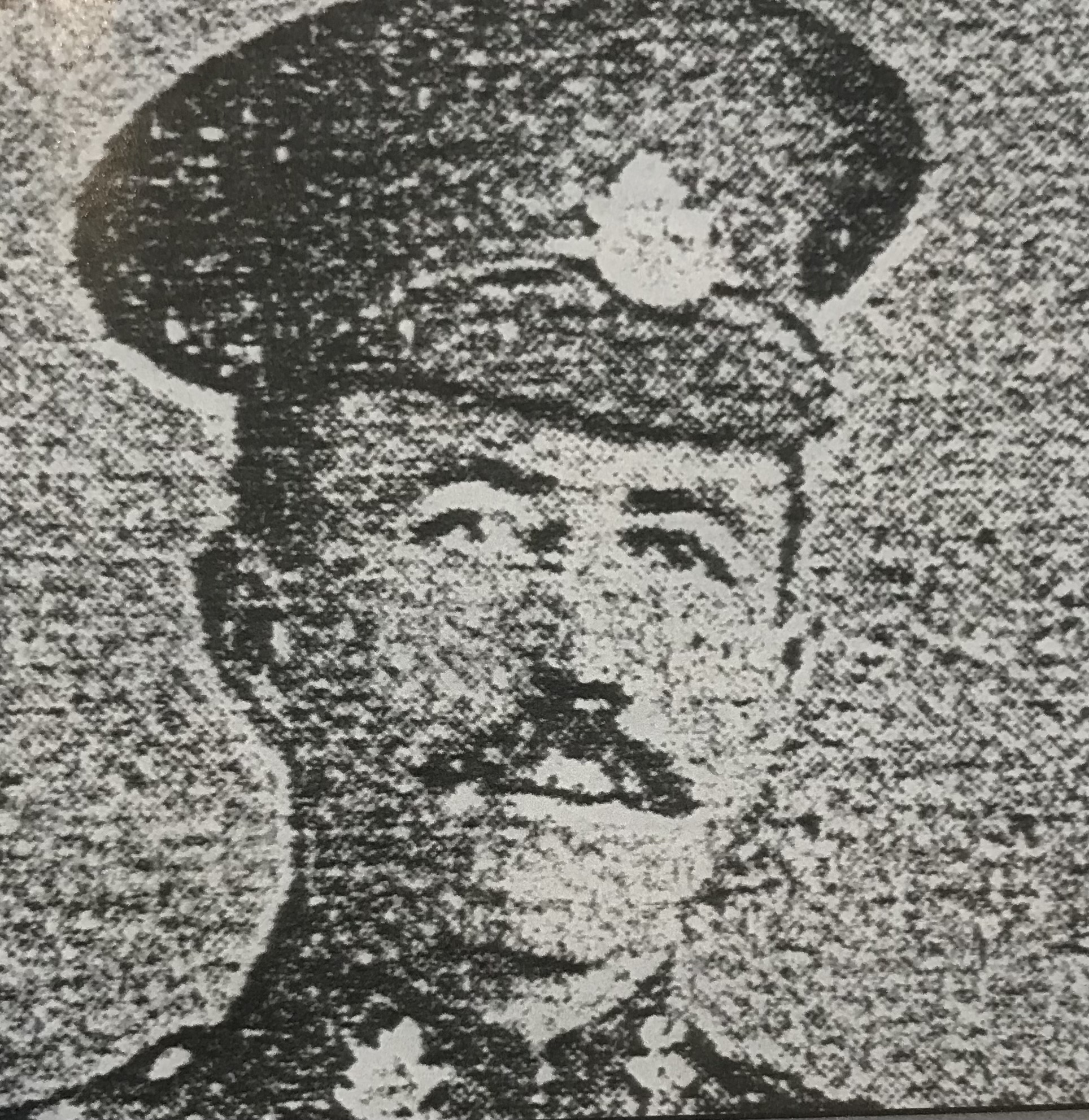 Photo of Thomas Quinn