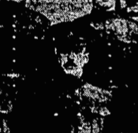 Photo of HAROLD BOYLE