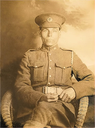 Photo of William Peterson