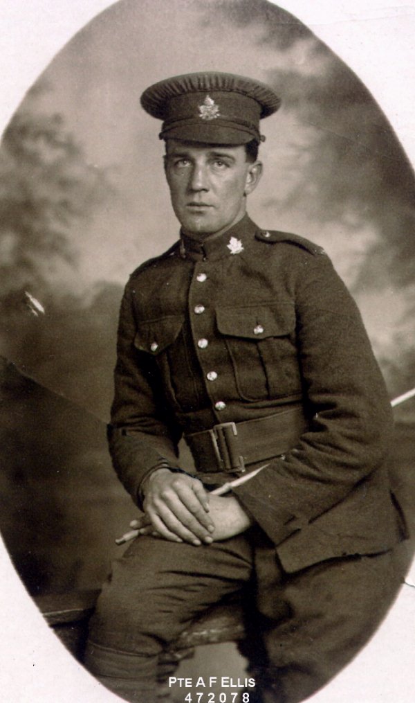 Photo of Albert Francis Ellis