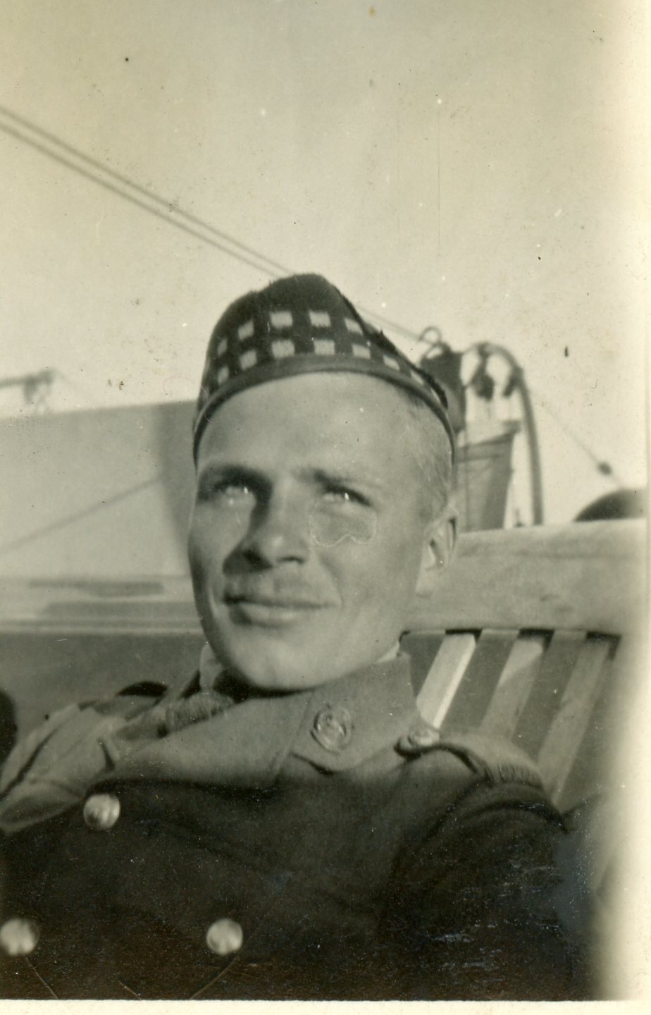 Photo de Montagu Bird