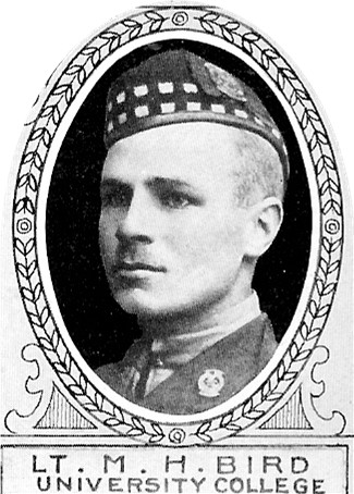 Photo de Montagu Bird