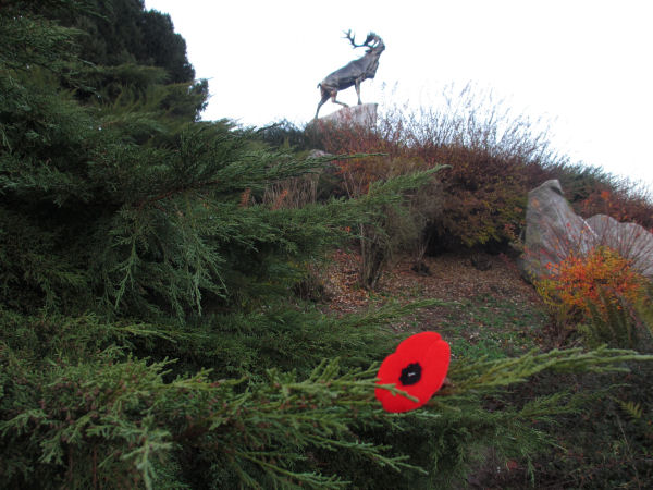 Beaumont Hamel Memorial