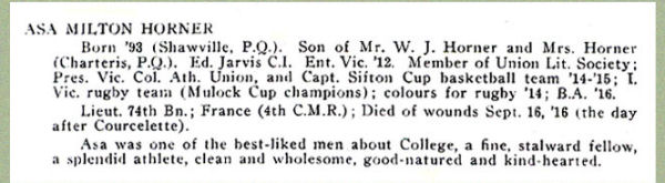 Newspaper Clipping 3