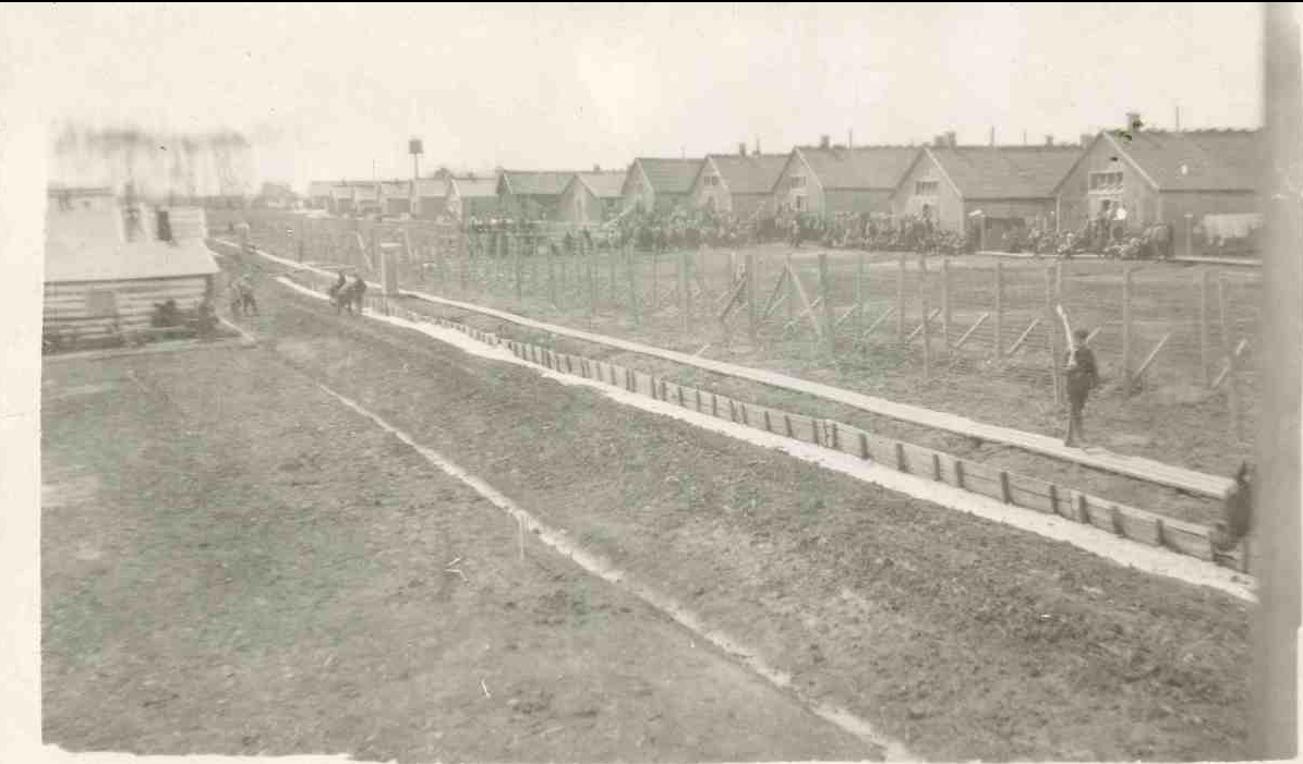 Photo of STEWART MAYNARD