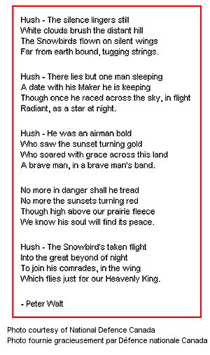 In Memory of Fallen Snowbirds