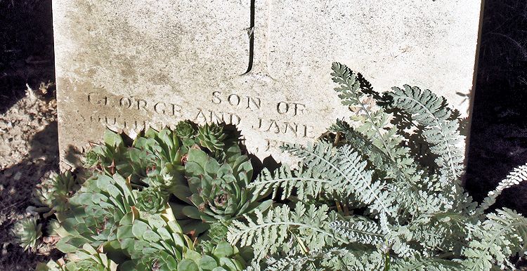 Inscription