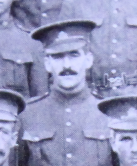 Photo of Robert Wilson